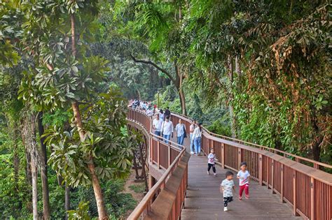 Malabar Hill Forest Trail, Mumbai – Restoring Nature with Vectorworks ...