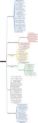 Neuroradiology Mind Map - NEET PG Radiology PDF Download