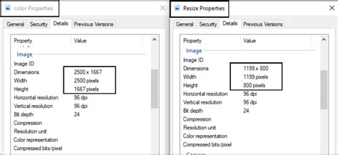 OpenCV Size 的图像结果