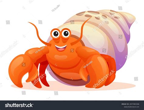 Cute Hermit Crab Pictures Compare Cheap | www.oceanproperty.co.th