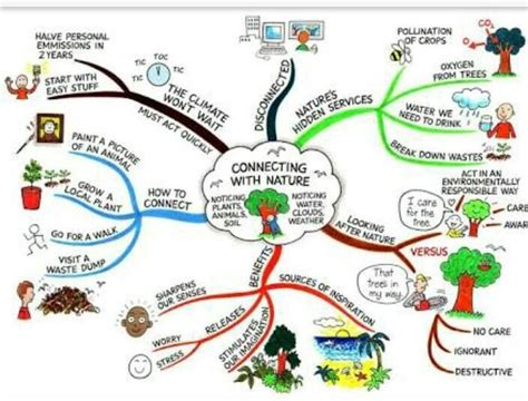 Draw a mind map for conservation of resources - Brainly.in
