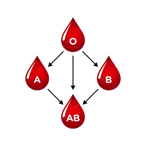 Premium Vector | Blood types diagram blood transfusion blood group a b ...