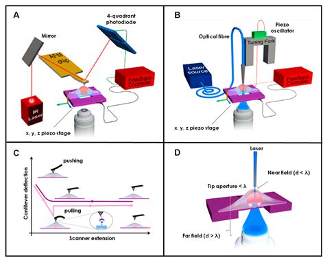 Scanning Probe Microscopies: Imaging and Biomechanics in Reproductive ...