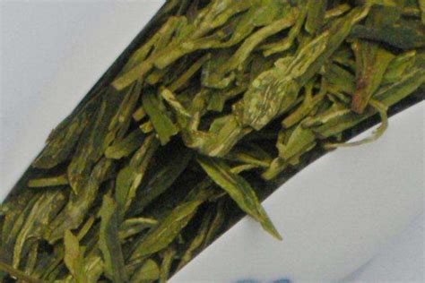 龙井茶属于什么茶类 —【发财农业网】