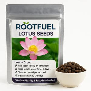 Plants and Planters Online in India | Flipkart | 07-Aug-25