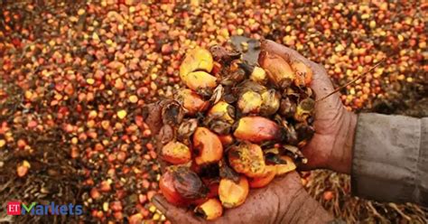 Cardamom: Agri-commodity: Cardamom falls on low demand; palm oil rises ...