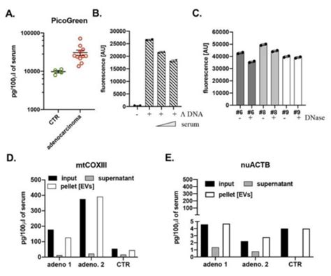 Quantification of Circulating Cell Free Mitochondrial DNA in ...