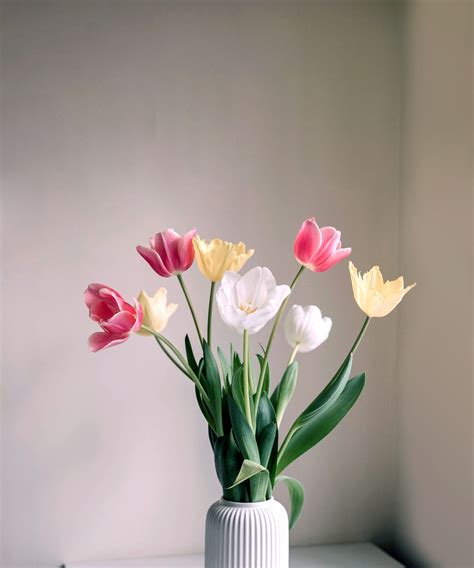 How to care for tulips in a vase, according to a florist | Homes and ...