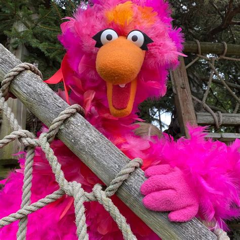 Image result for Muppet-style Puppet Patterns