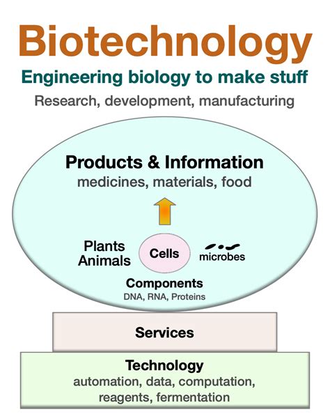 What Is Biotech 的图像结果