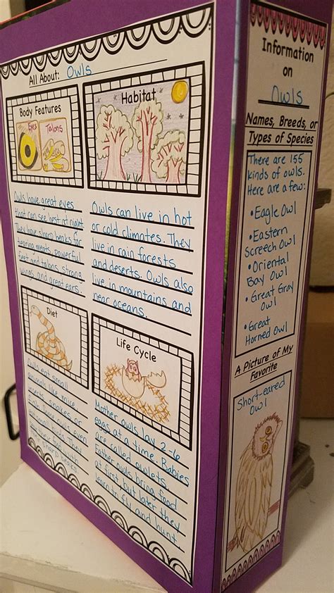 Cereal Box Book Report Cereal Box Book Report | Lakeshore® Learning