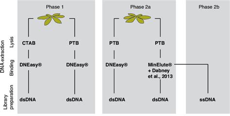 Image result for How DNA Testing Works