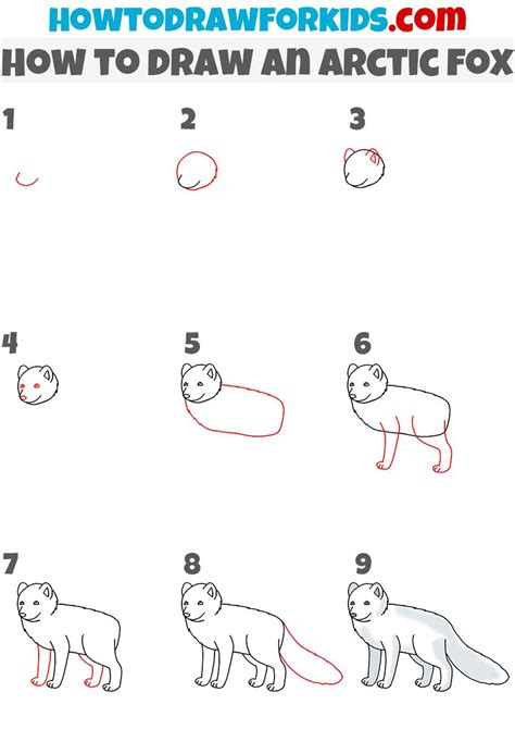 Image result for Arctic Fox Drawing Tutorial