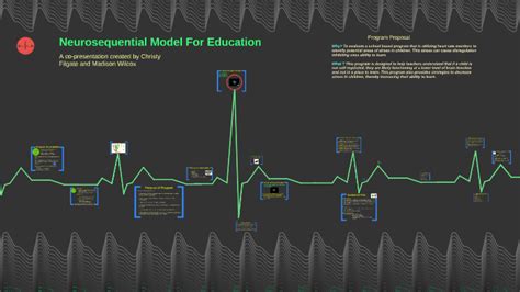 Beaconhouse Neurosequential Model 的图像结果