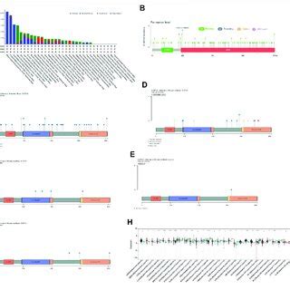 Image result for Copy Number Variation Mutation