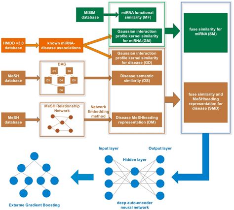 SMMDA: Predicting miRNA-Disease Associations by Incorporating Multiple ...