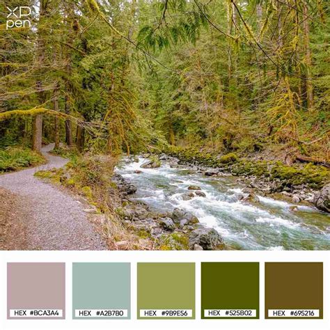 Nature Color 的图像结果