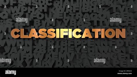 Image result for Classification Transparent Background