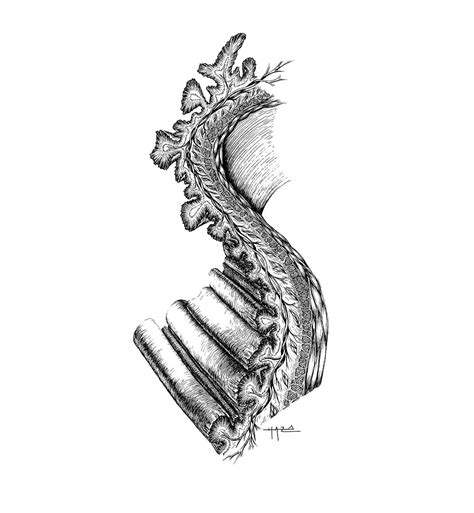 What Is Rugae With Pictures File:Rugae (27370217666).jpg Wikimedia