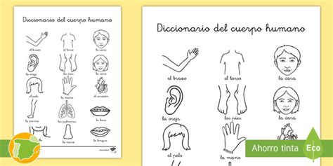 Hoja de colorear: Diccionario del cuerpo humano