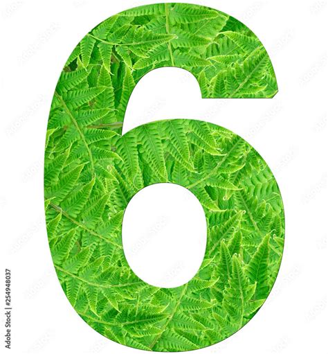 Image result for Six Step Process