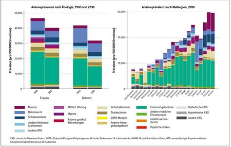 Unklare chronische Anämie, wie weiter? - Hämatologie - Universimed ...
