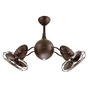 Ceiling Fans - Dual Ceiling Fans