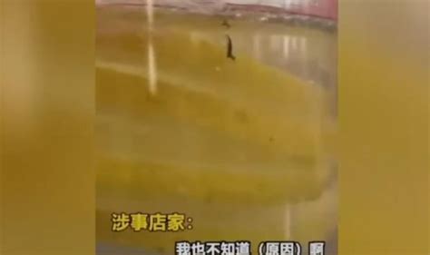 蜜雪冰城柠檬水中有虫子被罚1万_联商网