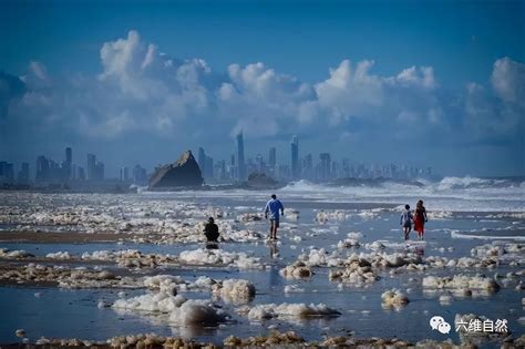 澳海滩出现大量海洋泡沫，吸引人到泡沫里玩，但也预示着恶劣天气|泡沫|海洋|恶劣天气_新浪新闻