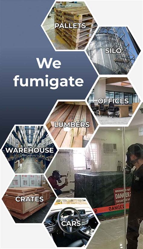Image result for Fumigation Process