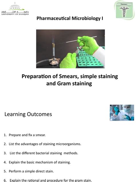 Image result for Simple Stain Procedure