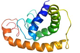 AagingBase | Database of anti-aging peptide