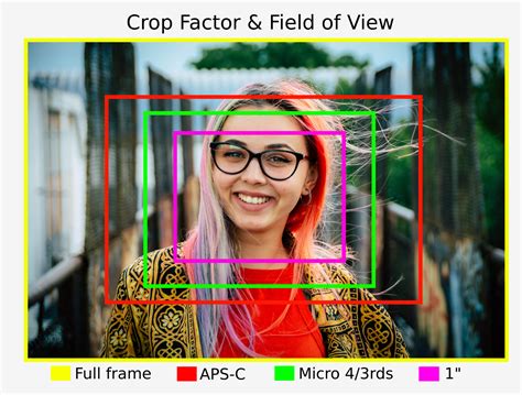 Micro Four Thirds Camera Buyers Guide | digiDirect