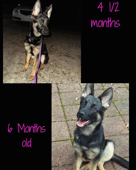 Emily Davis (@emilydavis0388) • Instagram photos and videos