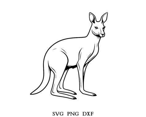 Buy Kangaroo Svg , Kangaroo Png , Cut Files for Cricut , Laser ...