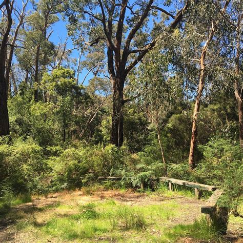 KOOLUNGA NATIVE RESERVE (2025) All You Need to Know BEFORE You Go (with ...