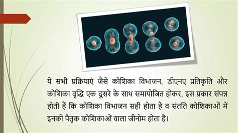 Free Science Lessons Cell Division 的图像结果