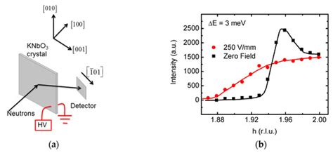 Characterization of Pb-Free KNbO3- and (Na,Bi)TiO3-Based Piezoelectric ...