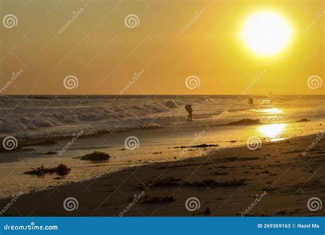 Beautiful Golden Sunset, Quiet Sea and Beach in Irvine, America Stock Image - Image of quiet ...