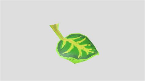 Image result for Leaf Modification Animation