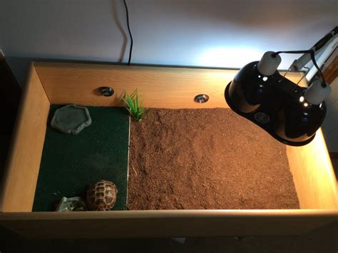 Image result for Tortoise Table