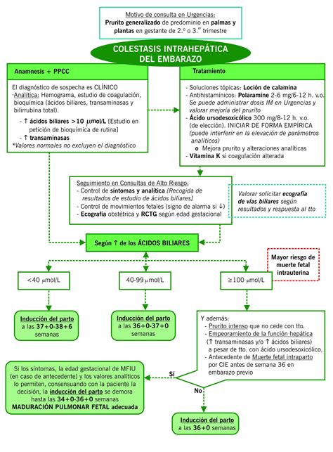 Colestasis Intrahepática En El Embarazo: Impacto En La Madre Y El Bebé ...