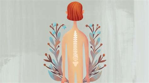 Disk Problem 的图像结果