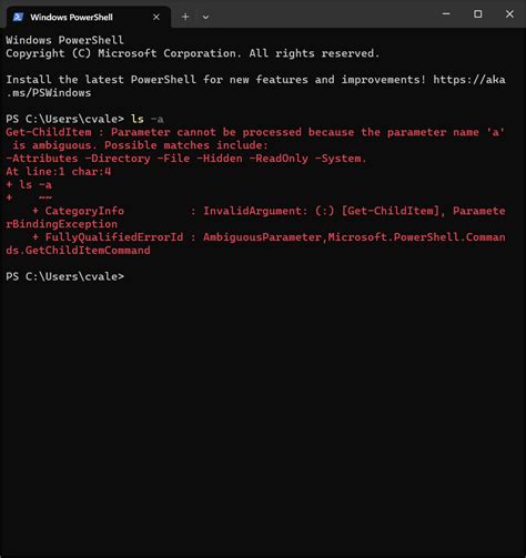 Terminal PowerShell Code 的图像结果