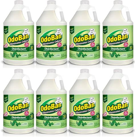 Amazon.com: OdoBan Professional Series Neutral pH No Rinse Floor ...