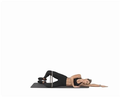 Image result for Clam Additonal Exercises