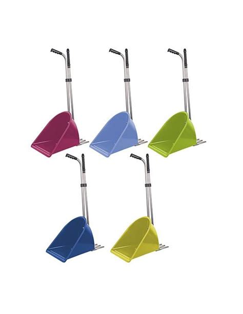 Recogedor con rastrillo