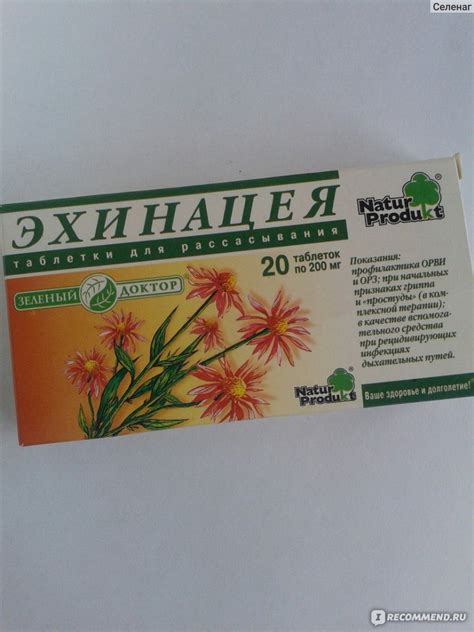 Таблетки Natur Produkt Эхинацея для рассасывания - «Эхинацея для ...