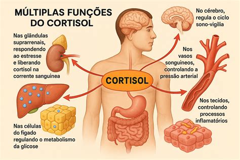 Cortisol: O Que É, Para Que Serve e Como Controlá-lo - peso e saúde