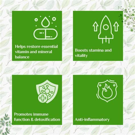 Organic Moringa Powder – Organic India